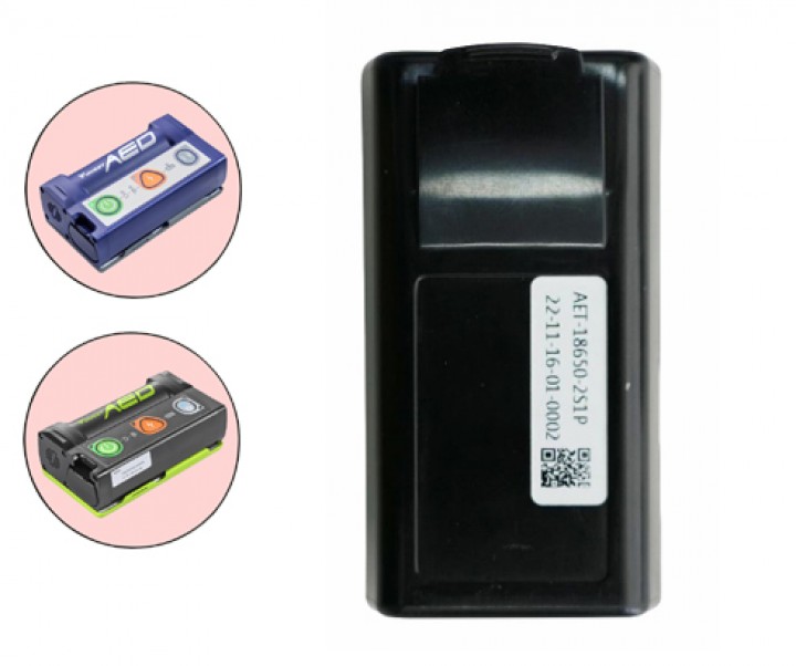 Bateria Vivest seria P